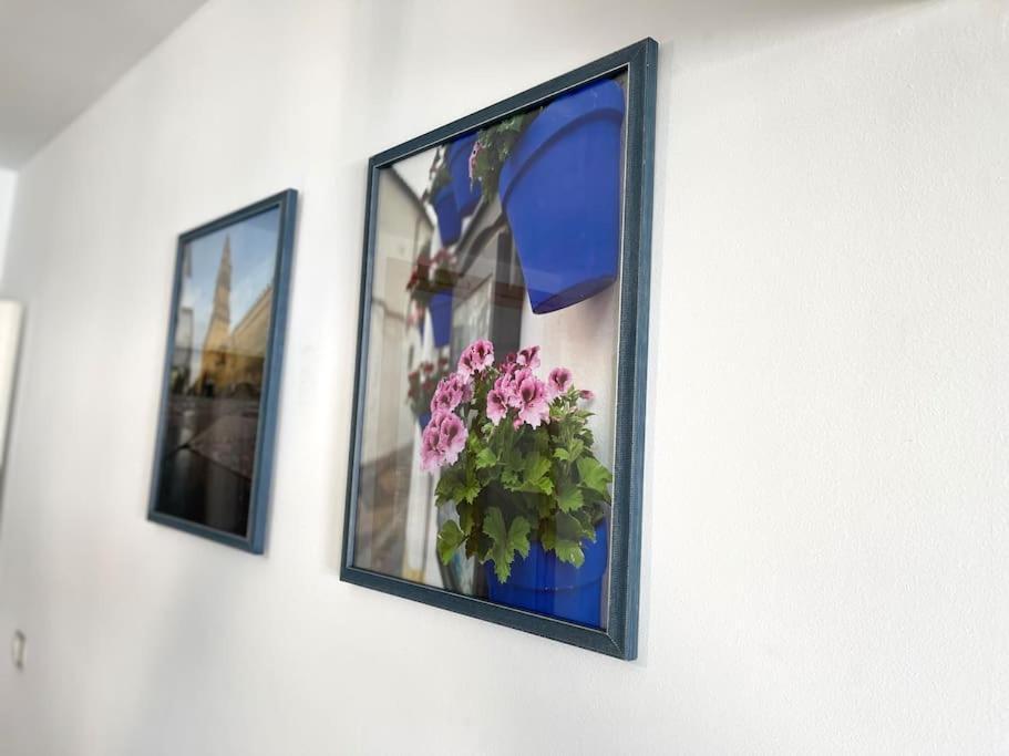 Apartamento Centrico Urbano Con Terraza Córdoba Exterior foto